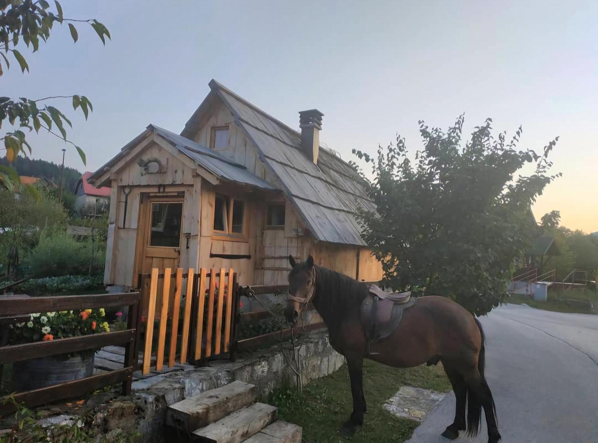 Etno Smjestaj Bjelasica Колашин Экстерьер фото